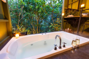 Отель Wairua Lodge - Rainforest River Retreat  Уитианг